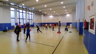 VOLLEY